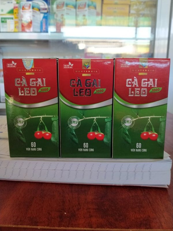 CÀ GAI LEO - Hình ảnh 3