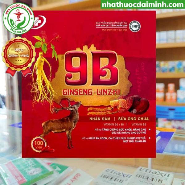 9B Ginseng Linzhi Vinaphar 100 Viên – Viên Uống Nhân Sâm Tăng Cường Sức Khỏe