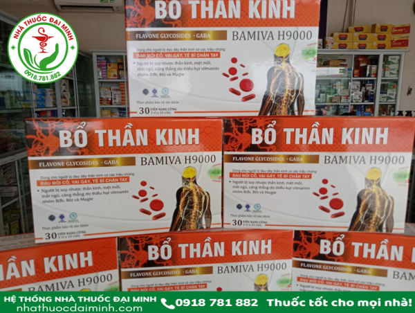 BỔ THẦN KINH BAMIVA H9000 - Hình ảnh 2