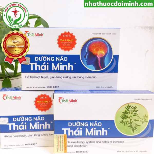 Dưỡng Não Thái Minh Hộp 20 Viên - Hỗ Trợ Hoạt Huyết, Tăng Cường Lưu Thông Máu Não - Hình ảnh 3