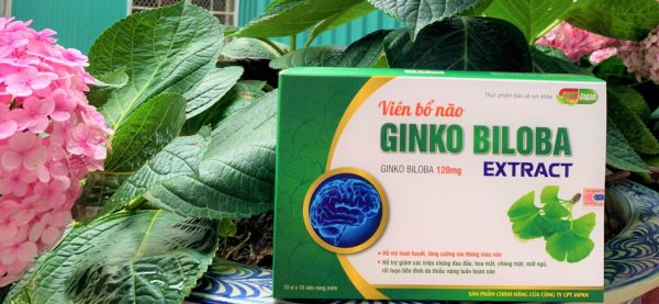 VIÊN BỔ NÃO GINKO BILOBA EXTRACT - HỖ TRỢ HOẠT HUYẾT, TĂNG CƯỜNG LƯU THÔNG MÁU NÃO