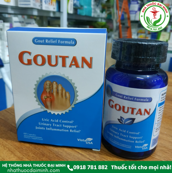 GOUTAN - DÀNH CHO NGƯỜI BỊ GOUT, XƯƠNG KHỚP - Hình ảnh 3