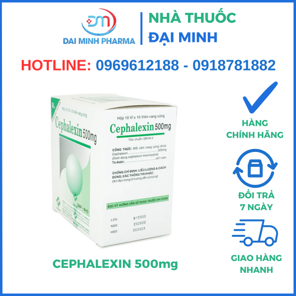 Thuốc Kháng Sinh Cephalexin 500mg - Hình ảnh 2