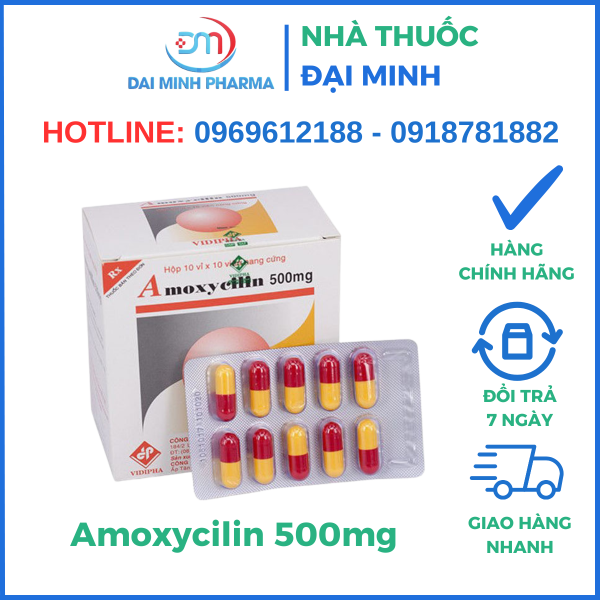 Thuốc Kháng Sinh Amoxycilin 500mg - Hình ảnh 2