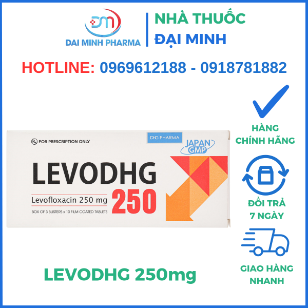 Thuốc Kháng Sinh LEVODHG 250mg - Hình ảnh 2