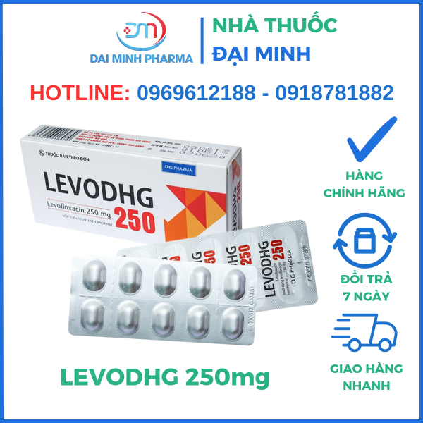 Thuốc Kháng Sinh LEVODHG 250mg