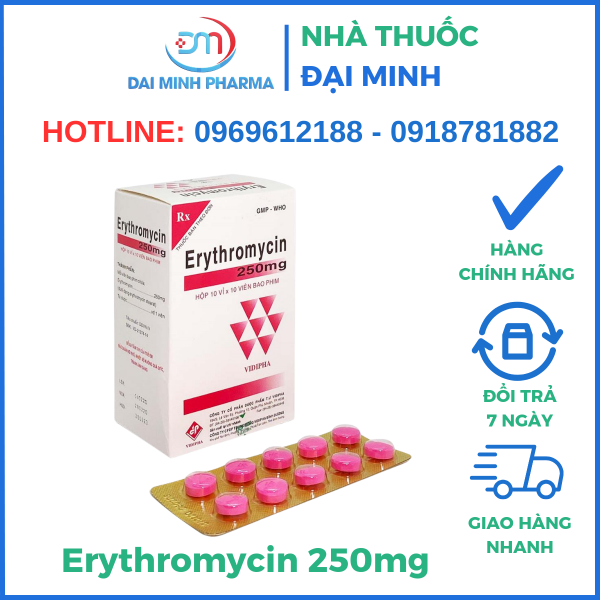 Thuốc Kháng Sinh Erythromycin 250mg