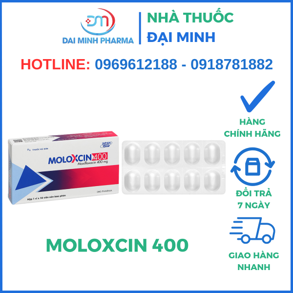 Thuốc Kháng Sinh MOLOXCIN 400 - Hình ảnh 2