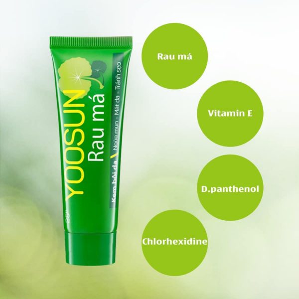 Yoosun Rau Má 25G - - Hình ảnh 6