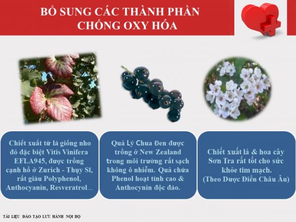 Tinh Chất Tỏi Đen DLC Black Garlic Formula Lọ 60 Viên - Tinh Chất Tỏi Đen Lên Men Nhật Bản, Giúp Ổn Định Huyết Áp, Hỗ Trợ Lưu Thông Máu, Tăng Tuần Hoàn Máu Não, Bảo Vệ Tim Mạch, Phòng Cảm Cúm Và Viêm Xoang, Cải Thiện Sinh Lý Nam Nữ - Ảnh 5