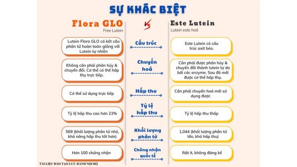 Viên bổ mắt Lutein Formula DLC Lọ 60 Viên - Bảo Vệ Mắt Toàn Diện, Giúp Giảm Tác Động Ánh Sáng Xanh, Phòng Ngừa Thoái Hóa Điểm Vàng Và Đục Thủy Tinh Thể - Ảnh 5